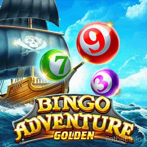 Bingo Adventure
